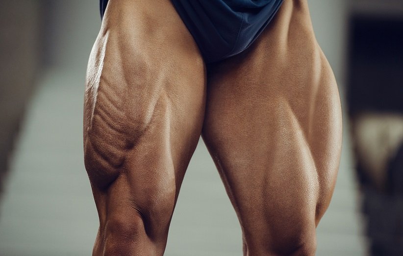 02 Quadriceps