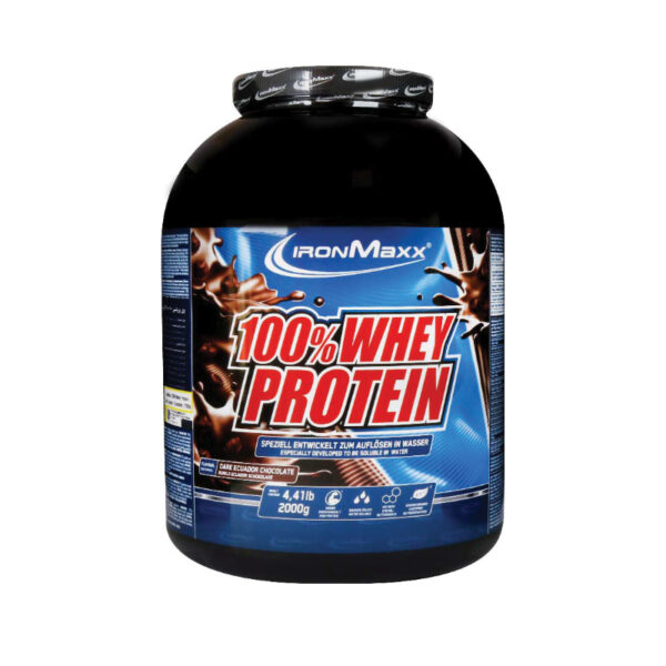 Iron Max 100 Protein Whey Powder 2000